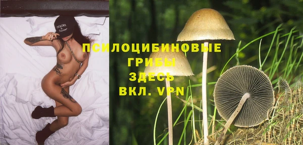 стафф Кукмор